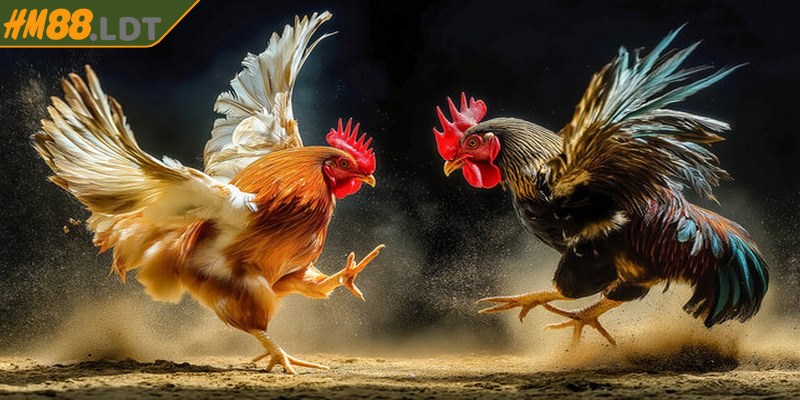 Người chơi có nhiều thời gian hơn để theo dõi trận đấu
