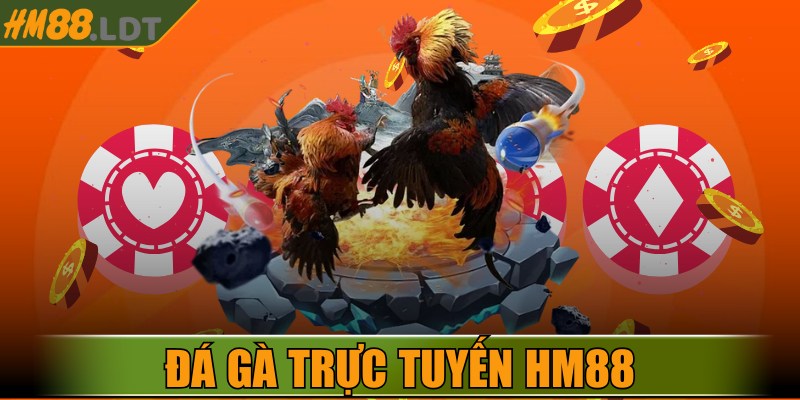 Đá Gà Trực Tuyến HM88 – Nơi Hội Tụ Những Chiến Kê Dũng Mãnh