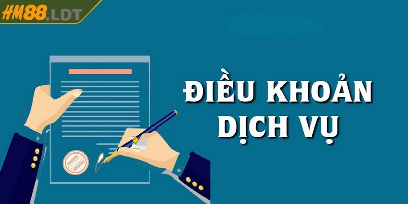Việc xây dựng điều khoản dịch vụ mang ý nghĩa quan trọng, cần thiết